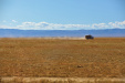 Thumbnail _mg_1301.jpg 
