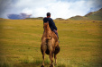 Thumbnail _mg_1593.jpg 