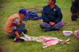 Thumbnail _mg_1817.jpg 