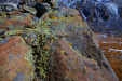Thumbnail _mg_2013.jpg 