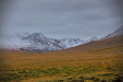 Thumbnail _mg_2085.jpg 