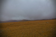 Thumbnail _mg_2131.jpg 
