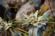 Thumbnail _mg_2216.jpg 