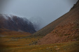Thumbnail _mg_2271.jpg 