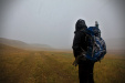 Thumbnail _mg_2283.jpg 