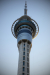 Thumbnail _mg_2156.jpg 