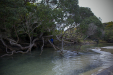 Thumbnail _mg_2375.jpg 