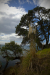 Thumbnail _mg_2417.jpg 