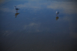 Thumbnail _mg_2533.jpg 