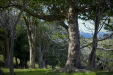Thumbnail _mg_2627.jpg 