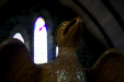 Thumbnail _mg_2678.jpg 