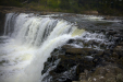 Thumbnail _mg_2698.jpg 