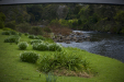 Thumbnail _mg_2756.jpg 