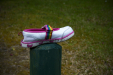 Thumbnail _mg_2835.jpg 