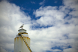 Thumbnail _mg_3162.jpg 