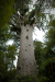 Thumbnail _mg_3173.jpg 