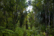Thumbnail _mg_3174.jpg 