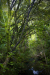 Thumbnail _mg_3189.jpg 