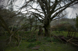 Thumbnail _mg_3399.jpg 