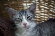 Thumbnail _mg_3408.jpg 