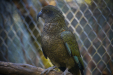 Thumbnail _mg_3651.jpg 