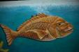 Thumbnail _mg_3771.jpg 