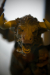 Thumbnail _mg_3900.jpg 