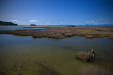 Thumbnail _mg_3963.jpg 