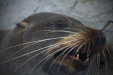 Thumbnail _mg_4169.jpg 