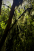 Thumbnail _mg_4579.jpg 