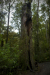 Thumbnail _mg_4596.jpg 