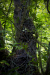 Thumbnail _mg_4613.jpg 