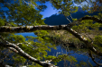 Thumbnail _mg_4876.jpg 
