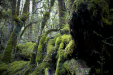 Thumbnail _mg_4915.jpg 