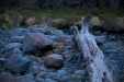 Thumbnail _mg_4975.jpg 