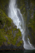 Thumbnail _mg_5110.jpg 