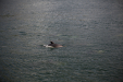 Thumbnail _mg_5164.jpg 