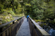 Thumbnail _mg_5223.jpg 