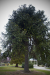 Thumbnail _mg_5341.jpg 