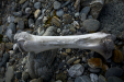 Thumbnail _mg_5512.jpg 