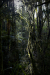 Thumbnail _mg_5570.jpg 