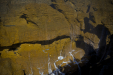 Thumbnail _mg_6016.jpg 