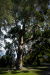 Thumbnail _mg_6240.jpg 