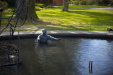 Thumbnail _mg_6257.jpg 