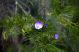 Thumbnail _mg_6358.jpg 