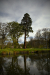 Thumbnail _mg_6374.jpg 