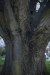 Thumbnail _mg_6402.jpg 