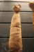 Thumbnail img_2537.jpg 