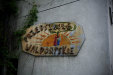 Thumbnail img_4966.jpg 