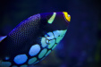 Thumbnail _mg_7602.jpg 